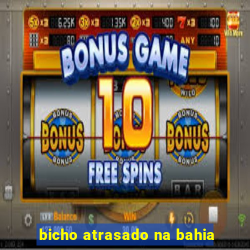 bicho atrasado na bahia